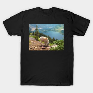 At the Top of the World T-Shirt